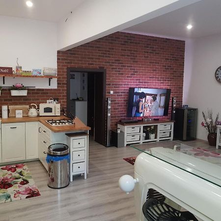 Apartman Karlovy Vary Apartment ภายนอก รูปภาพ