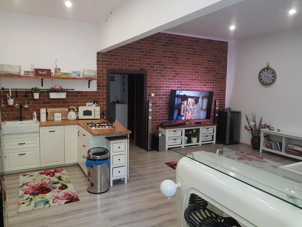 Apartman Karlovy Vary Apartment ภายนอก รูปภาพ