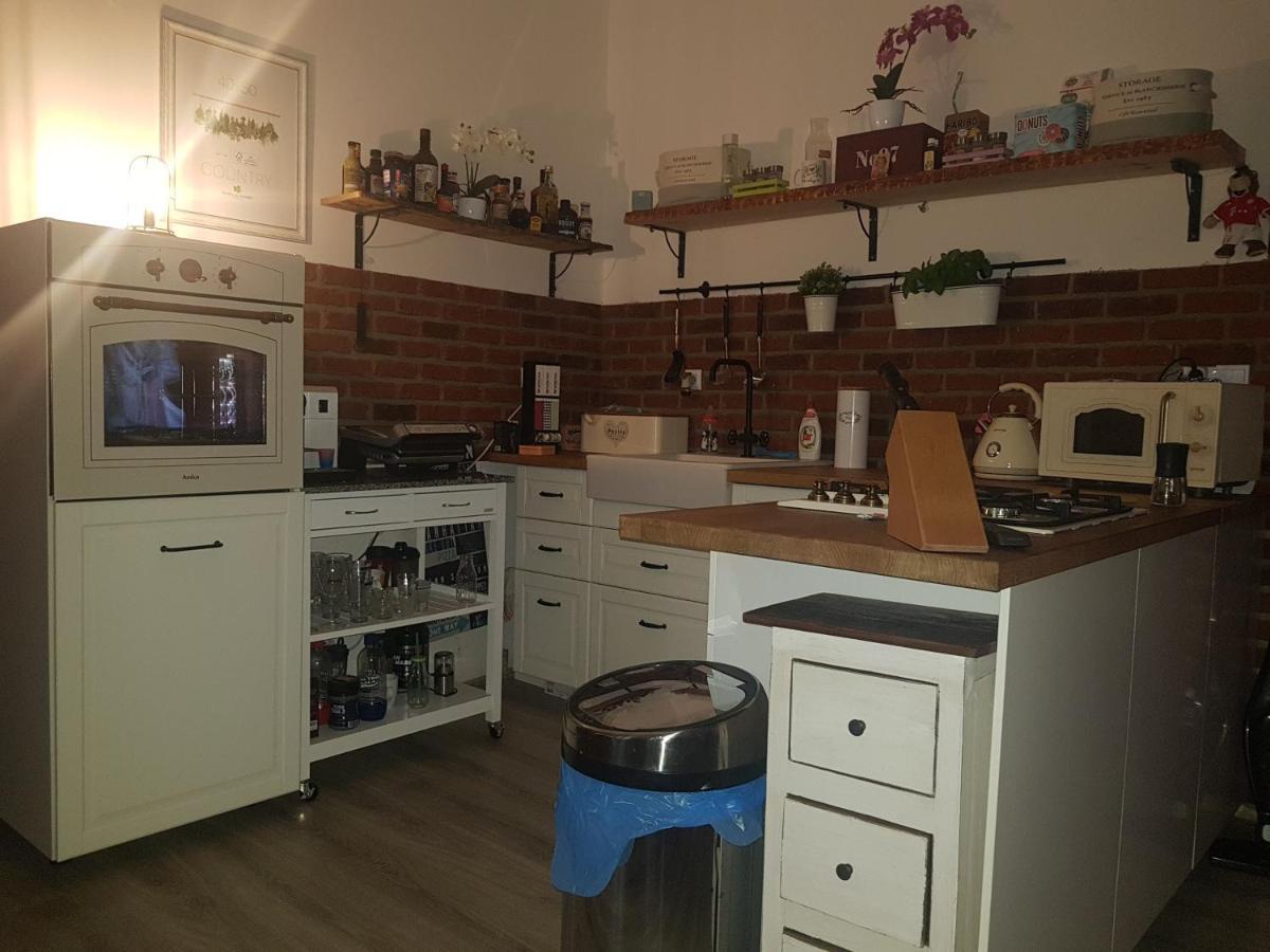 Apartman Karlovy Vary Apartment ภายนอก รูปภาพ