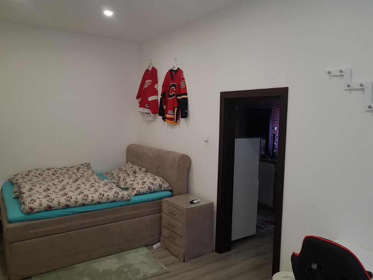Apartman Karlovy Vary Apartment ภายนอก รูปภาพ