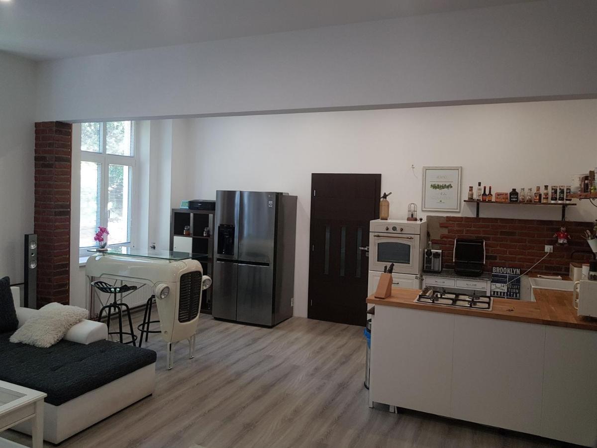 Apartman Karlovy Vary Apartment ภายนอก รูปภาพ